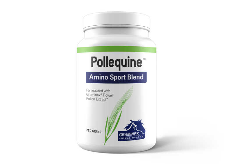 PollEquine Amino sport Blend