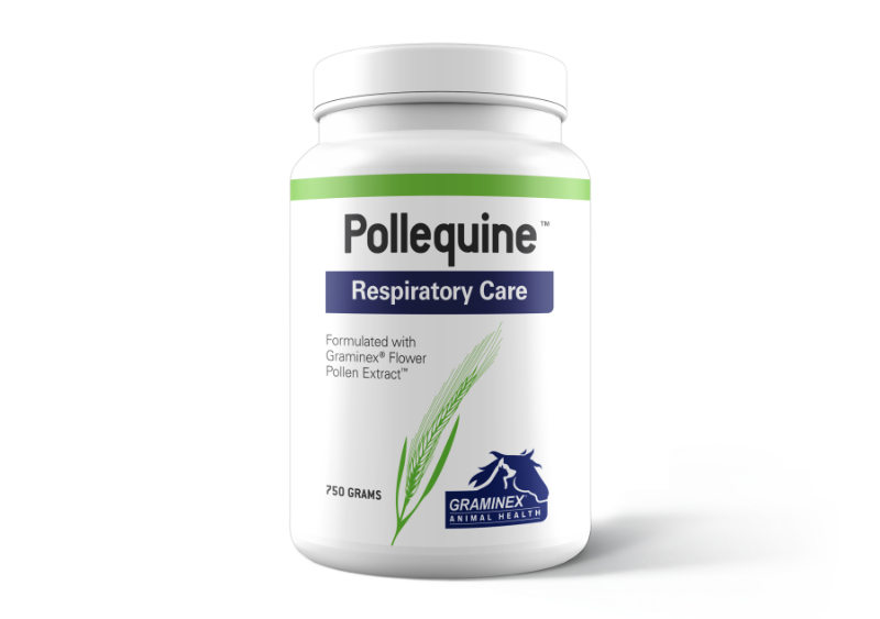 PollEquine Respiratory Care